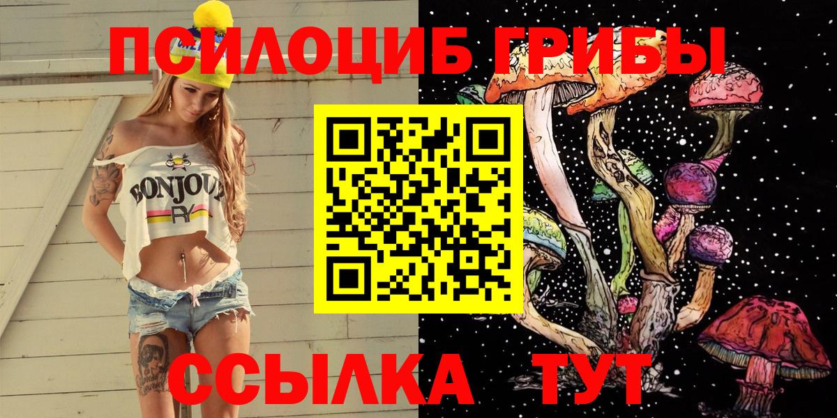 Псилоцибиновые грибы GOLDEN TEACHER  Вход с VPN  Североморск 