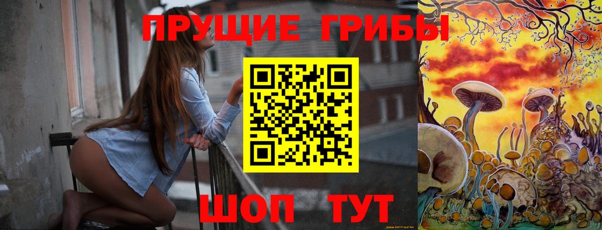 Галлюциногенные грибы Psilocybine cubensis Североморск